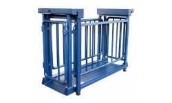 TCS-H Cattle Scale